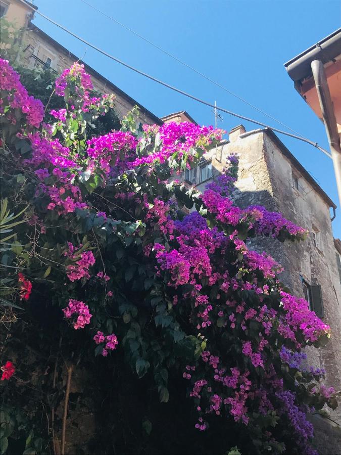 La Casa Nei Carobi
